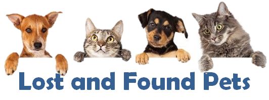 Lost and Found Pets
